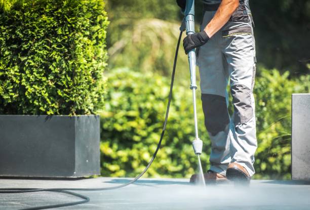 Best Soft Washing for Delicate Surfaces in Independence, MN